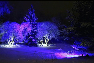 подсветка деревьев в Красноярске